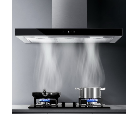 Professional Premium Range Hood in Stainless Steel