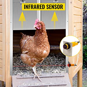 Automatic Chicken Coop Door Opener (Door Included)Timer Auto Light Sensor