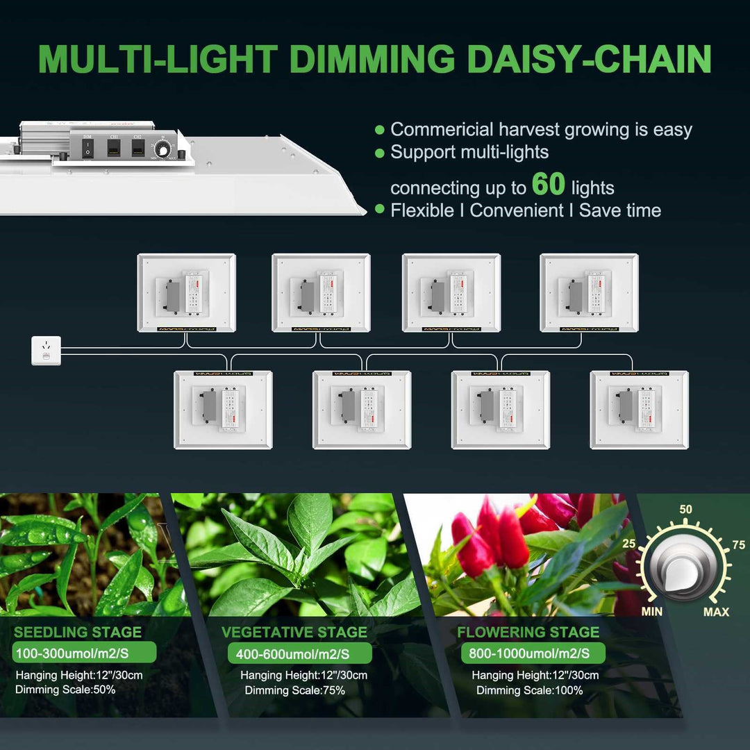 Professional LED Grow Lights Kit LED Full Spectrum AU (1000W)